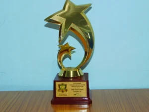 National EHS Award 2016